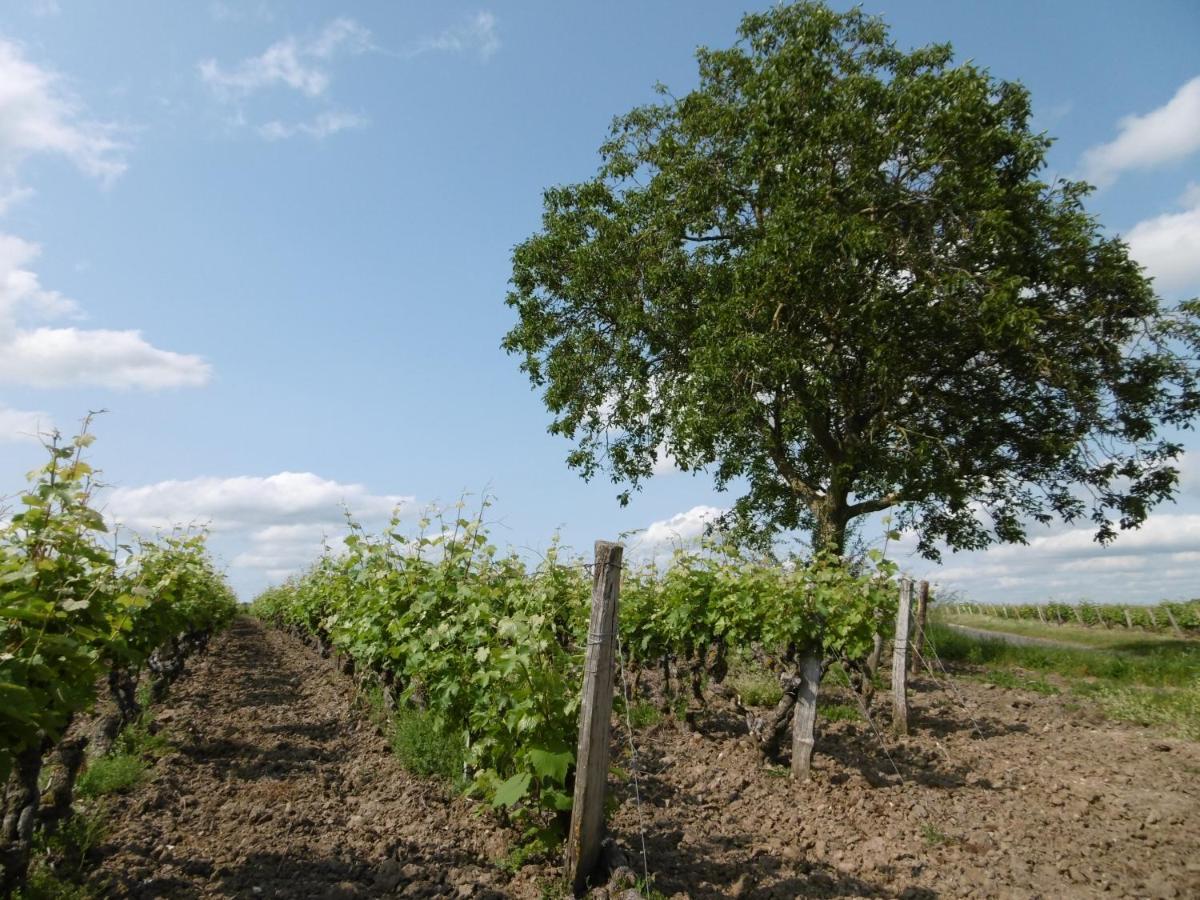 L'Etape Troglo Vouvray Exterior foto
